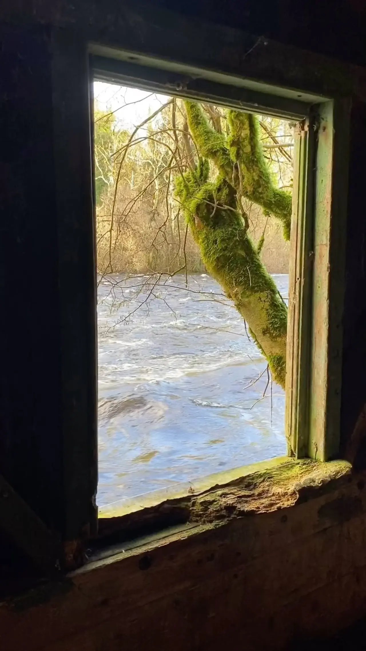 Softly styled bedroom with natural tones